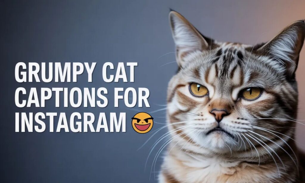 Grumpy Cat Captions (1)
